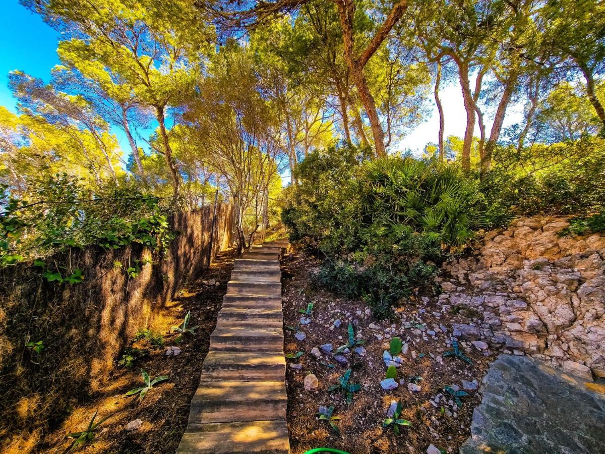 Villa Cala Llamp Andraitx Dış mekan fotoğraf